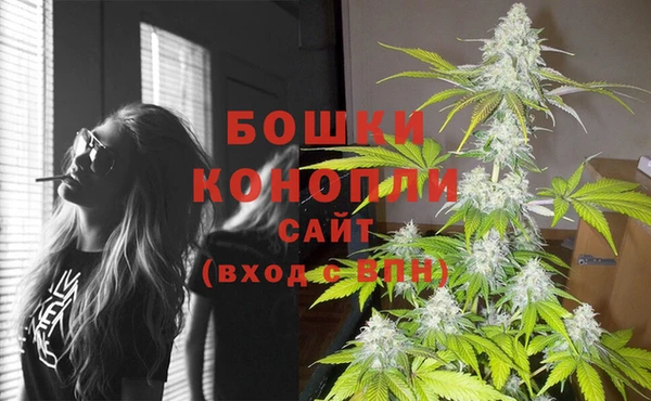 Альфа ПВП Остров