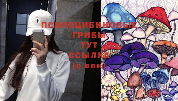 твердый Бутурлиновка