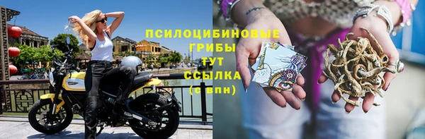 дурь Абаза