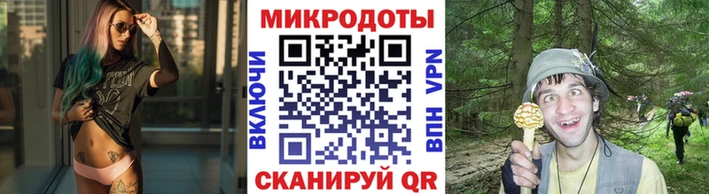 Псилоцибиновые грибы прущие грибы  где купить наркотик  Балахна 